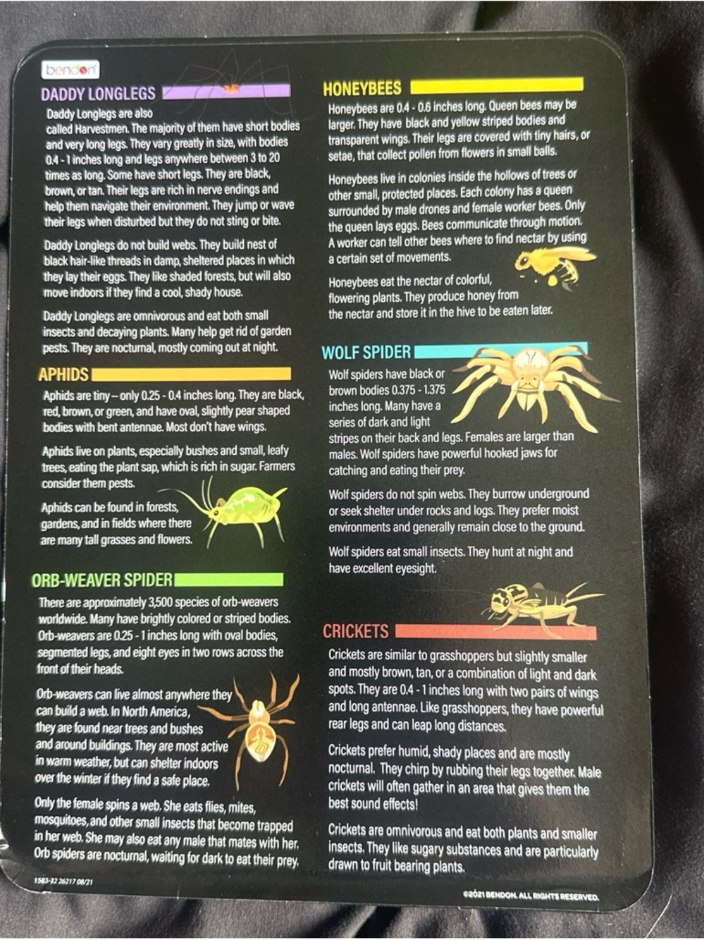 Bendon Bug Science STEM Learning Set - Picture 7 of 7